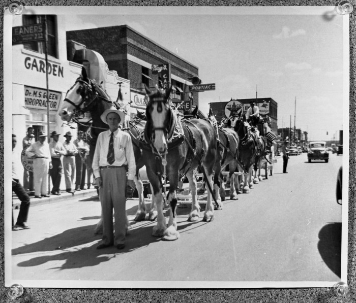 Budweiser Clydesdales Arrive in Las Vegas for Super Bowl LVIII Spectacle(2024) 1 image 62