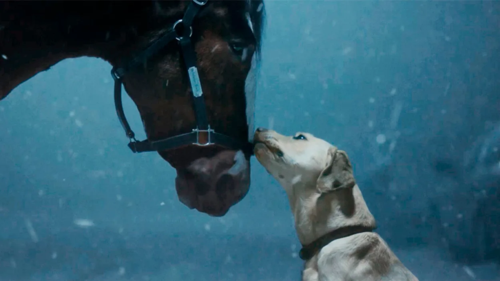 Budweiser's Super Bowl Spectacle Featuring the Lovable Labrador and Majestic Clydesdales 3 image 64