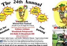 Pawsitively Paw-some Festival: A Weekend of Fun for You and Your Pooch Sponsored by Doggo Den Training