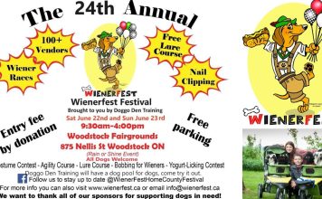 Pawsitively Paw-some Festival: A Weekend of Fun for You and Your Pooch Sponsored by Doggo Den Training