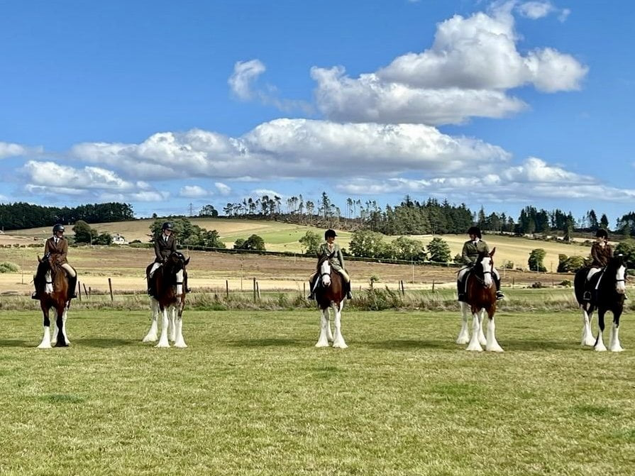Riding Clydesdales