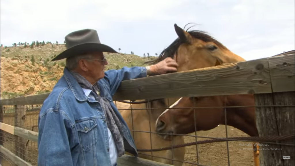 A Veteran Cowboy's Lifelong Commitment to Rescuing Wild Mustangs in the USA 2 image 28