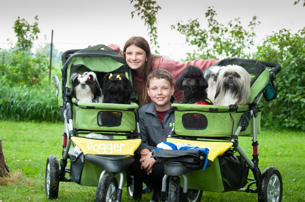 Pawsitively Paw-some Festival: A Weekend of Fun for You and Your Pooch Sponsored by Doggo Den Training 3 Paw-some