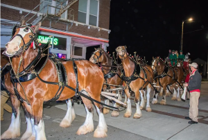 A MAGNIFICENT VIEW: BUDWEISER CLYDESDALES ARRIVE IN DOWNTOWN OCEAN SPRINGS 2 image 1