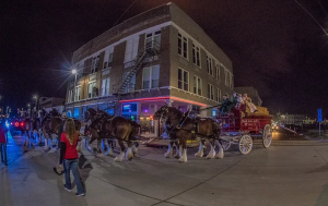 A MAGNIFICENT VIEW: BUDWEISER CLYDESDALES ARRIVE IN DOWNTOWN OCEAN SPRINGS 3 image 2