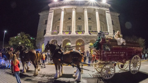 A MAGNIFICENT VIEW: BUDWEISER CLYDESDALES ARRIVE IN DOWNTOWN OCEAN SPRINGS 1 BUDWEISER CLYDESDALES