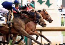 Mystik Dan Triumphs in Thrilling Kentucky Derby Finish