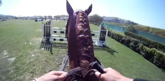 Rider’s GoPro Cameras Captures Thrilling Horse Show Jumping Experience