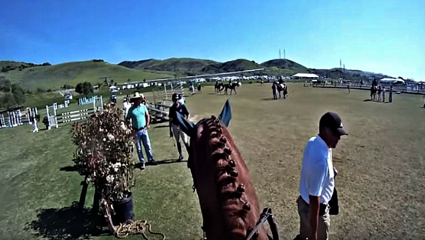 Rider's GoPro Cameras Captures Thrilling Horse Show Jumping Experience 1 GoPro Cameras