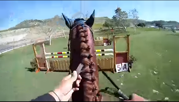 Rider's GoPro Cameras Captures Thrilling Horse Show Jumping Experience 2 image 5