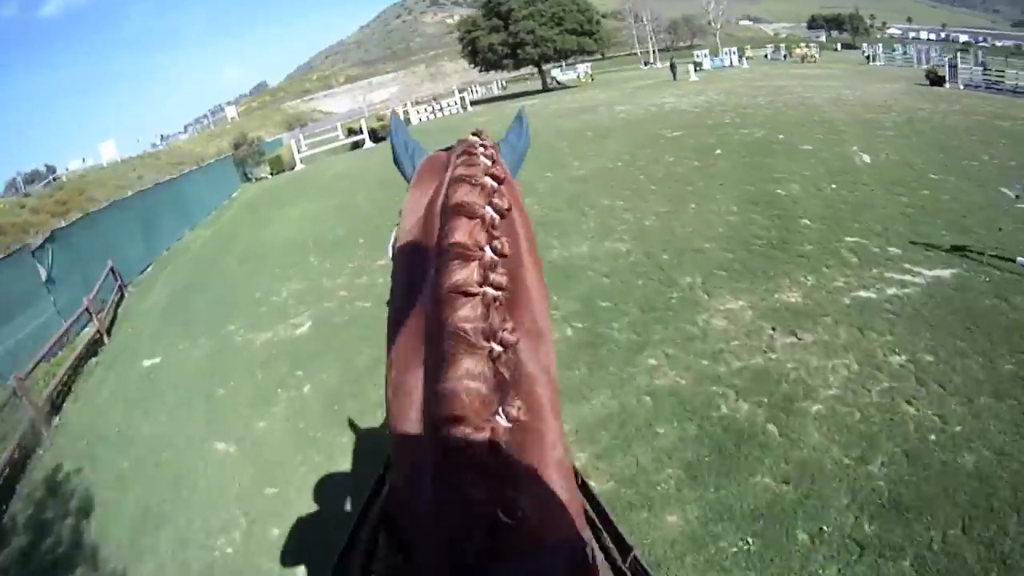 Rider's GoPro Cameras Captures Thrilling Horse Show Jumping Experience 4 image 7